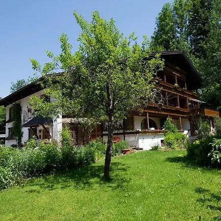 Rex - Ihre Allgaeu-auszeit Mit Hund Daire
