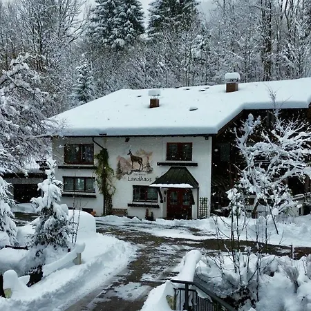 Rex - Ihre Allgaeu-auszeit Mit Hund