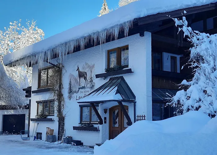 Kleine 1-raum-apartment Rex *